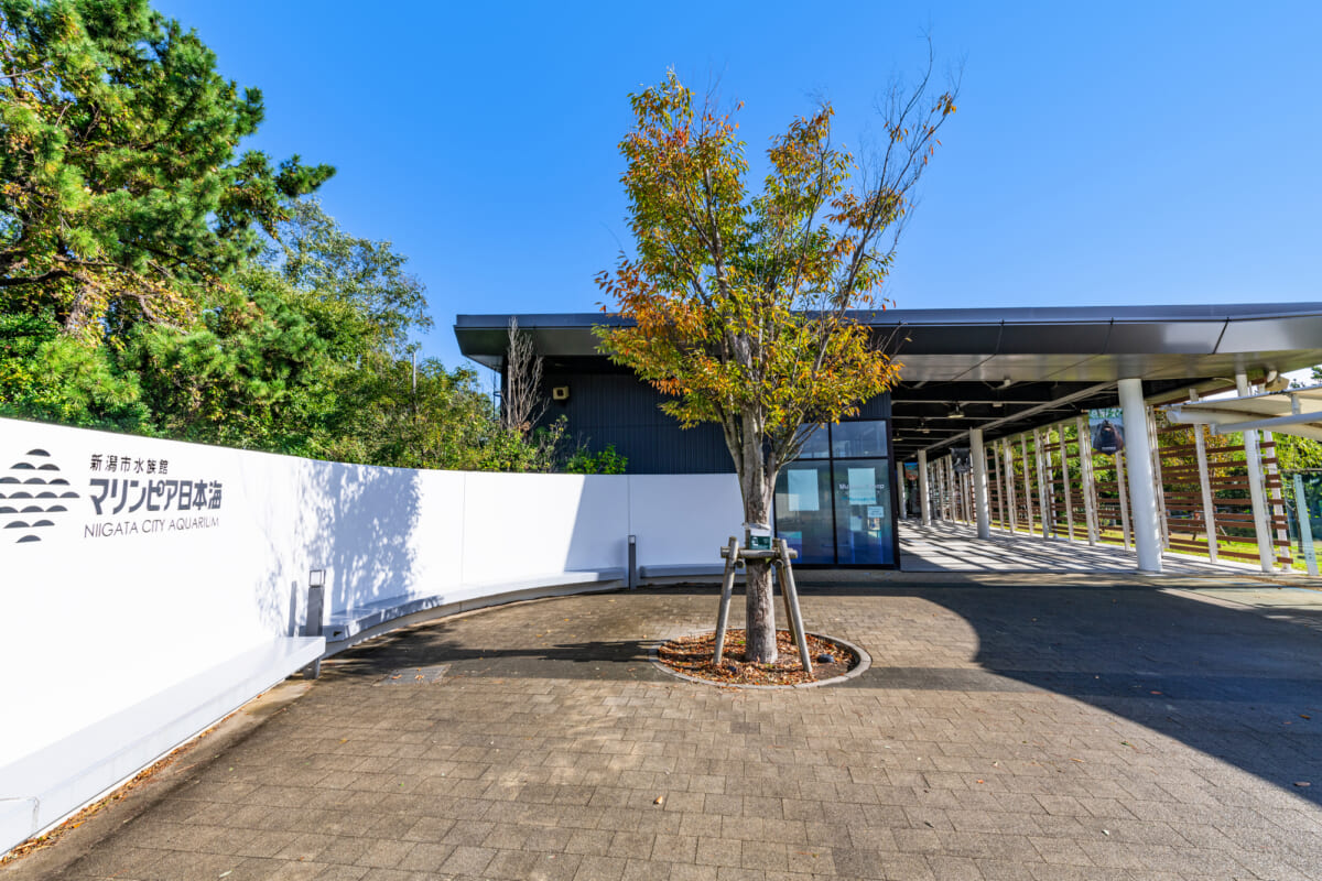 新潟市中央区のお勧めスポット / 名産物